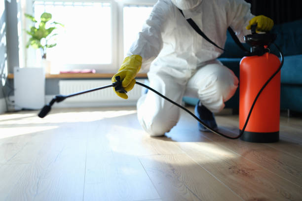 Trusted Odor Removal service in Mount Vernon, KY - Four Month Blood Cleanse